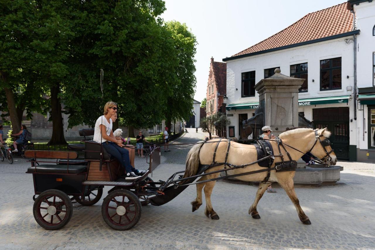 Bed and Breakfast Haven 7 à Bruges Extérieur photo